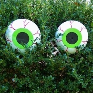 EyeCraft1W 1