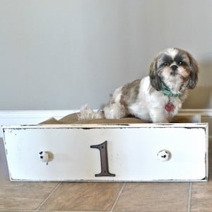 draw dog beds