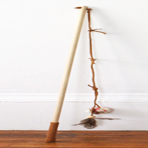 image 14