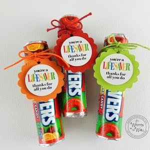 lifesaver tag kit 3